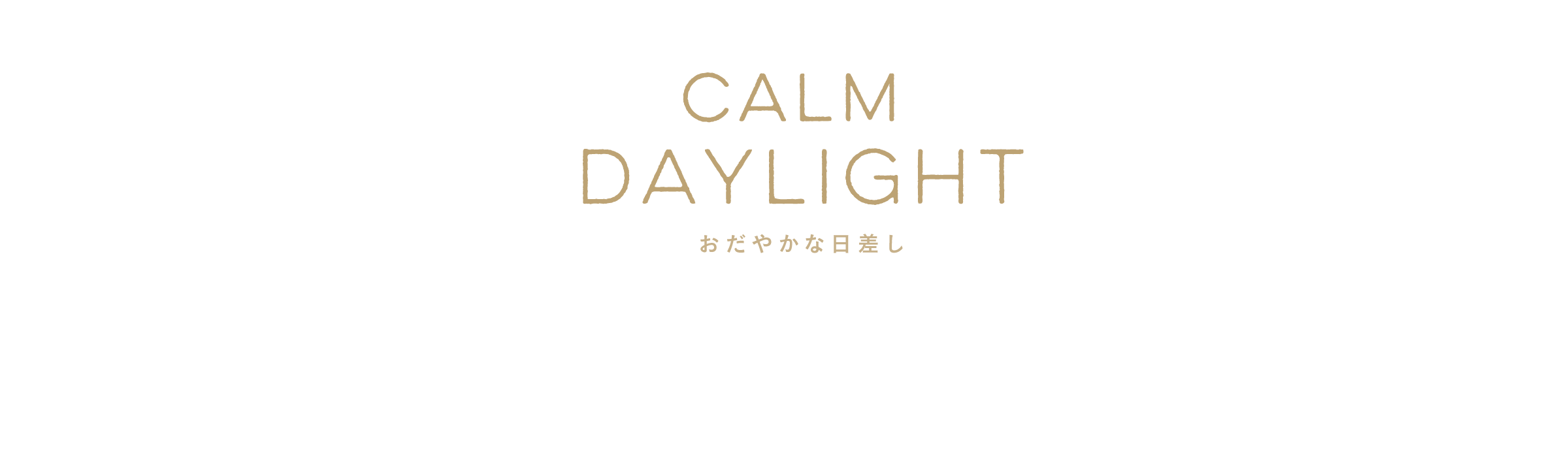 Calm daylight おだやかな日差し